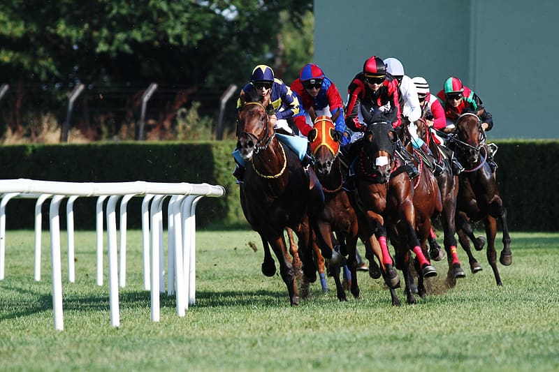 HD-wallpaper-sports-horse-racing-racing